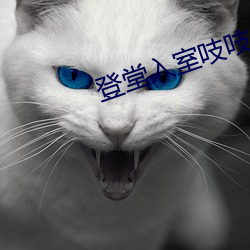 登堂入室吱吱