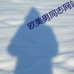 欧美(美)男同志网站