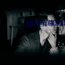 都市至尊豪婿