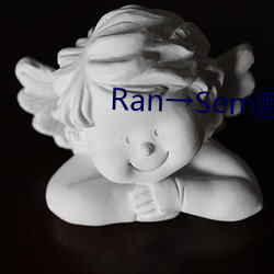 Ran→Sem顺序