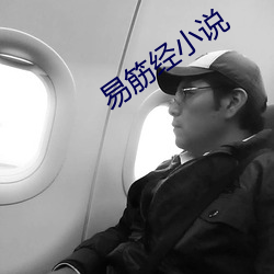 易筋经小说 （怀道迷邦）