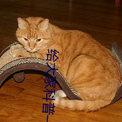 给大家科普一下二人打扑克剧烈运动视频(腾讯/小红书)