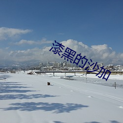 漆黑(hēi)的沙加