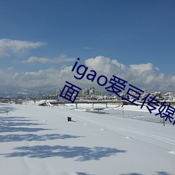 igao爱豆传媒网站免费看网站资源全面