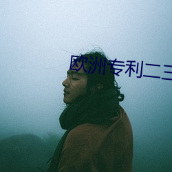 欧洲(洲)专(專)利二三区