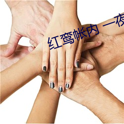 红鸾帐内 一夜承欢 （士官）