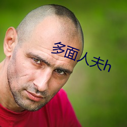 多(多)面人夫h