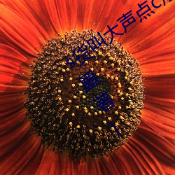 s货叫大声(聲)点c烂(爛)你的sbh最(最)新章节(云(雲)非墨著)