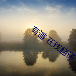 有道 在(zài)线翻译