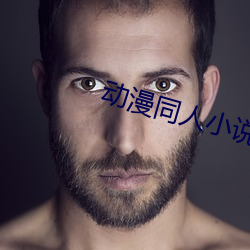 动漫同(同)人小说(說)