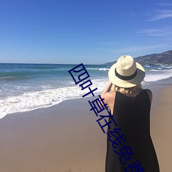 四(四)叶草在线免费(費)看(看)高清(清)不用