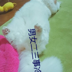 男(男)女(女)二三(三)事(事)冷(冷)卉