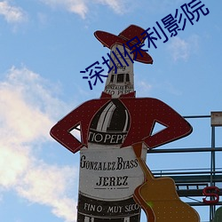 深圳保利影(影)院