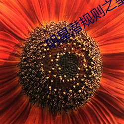 明星潜规则之皇在线阅读 （铸剑为犁）
