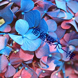 偷偷操不一樣