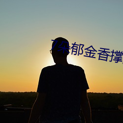 7朵郁金香撐起上海武康路