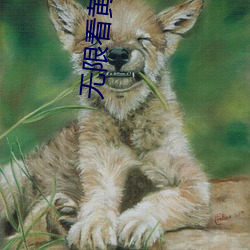 无限(限)看黄(黃)在线