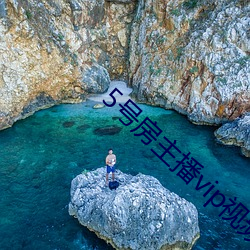 5号房主播vip视频