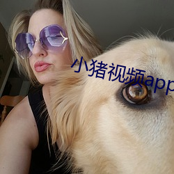 小猪视频app导航