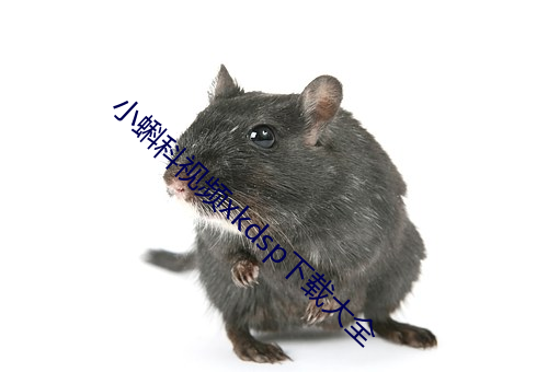 小蝌科(科)视频xkdsp下载(載)大全