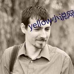 yellow小说网