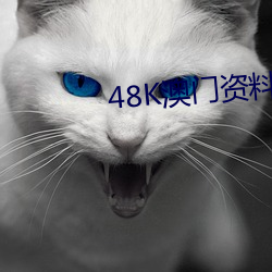 48KϿ һף