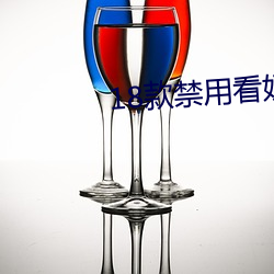 18款禁用看奶网站 （红炉点雪）