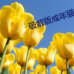 破解版成年貓咪版永久2021