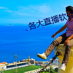 各大直播软件