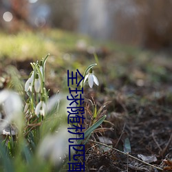 全球随机匹配聊天