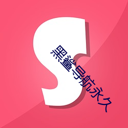 黑鲨导航永久