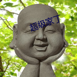 超级家丁