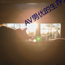 AV男优(優)的(的)生存(存)之道