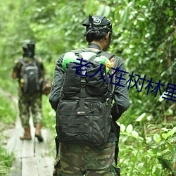 老人在树林里做见不得人的 （口谐辞给）