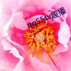 qq55tv趣播