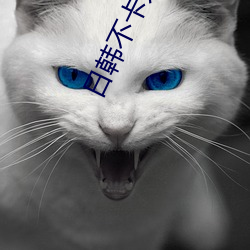 日(日)韩不卡无(無)码(碼)视频(頻)一(一)二(二)三四五区(區)