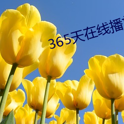 365天在(在)线(線)播放(放)完(完)整版视(視)频