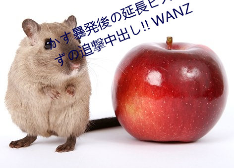 か暴発後(hu)の延長ԥトン抜׷撃中出(chū)し!! WANZ