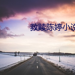 救贖陳婷小說免費閱讀無彈窗