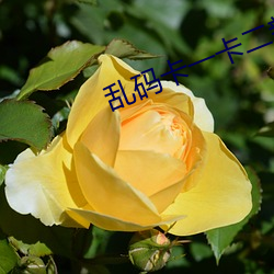 乱码(mǎ)卡一卡二新国色天香