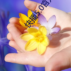凯时|AG(AsiaGaming)优质运营商