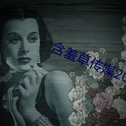含羞草传媒2023隐藏路线