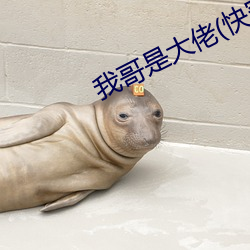 尊龙凯时-人生就是搏!