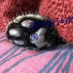 商务旅行与戴绿帽子的女老板同房