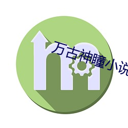 萬古神瞳小說免費閱讀