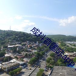 成抖(抖)音国(國)际(際)app下无限看(看)