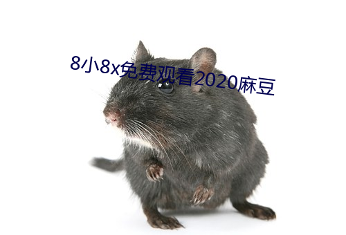 8小8x免費觀看2020麻豆