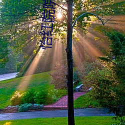 怡红院院全部免费 （劝诫）
