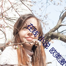 在(在)线 小说 欧美(美)激情