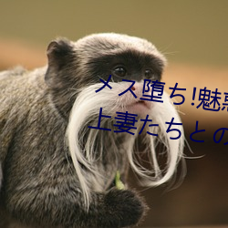 メス堕(duò)ち!魅惑の*妻(qī)ライフ ～年上妻たちとのいちゃらぶ汁(zhī)